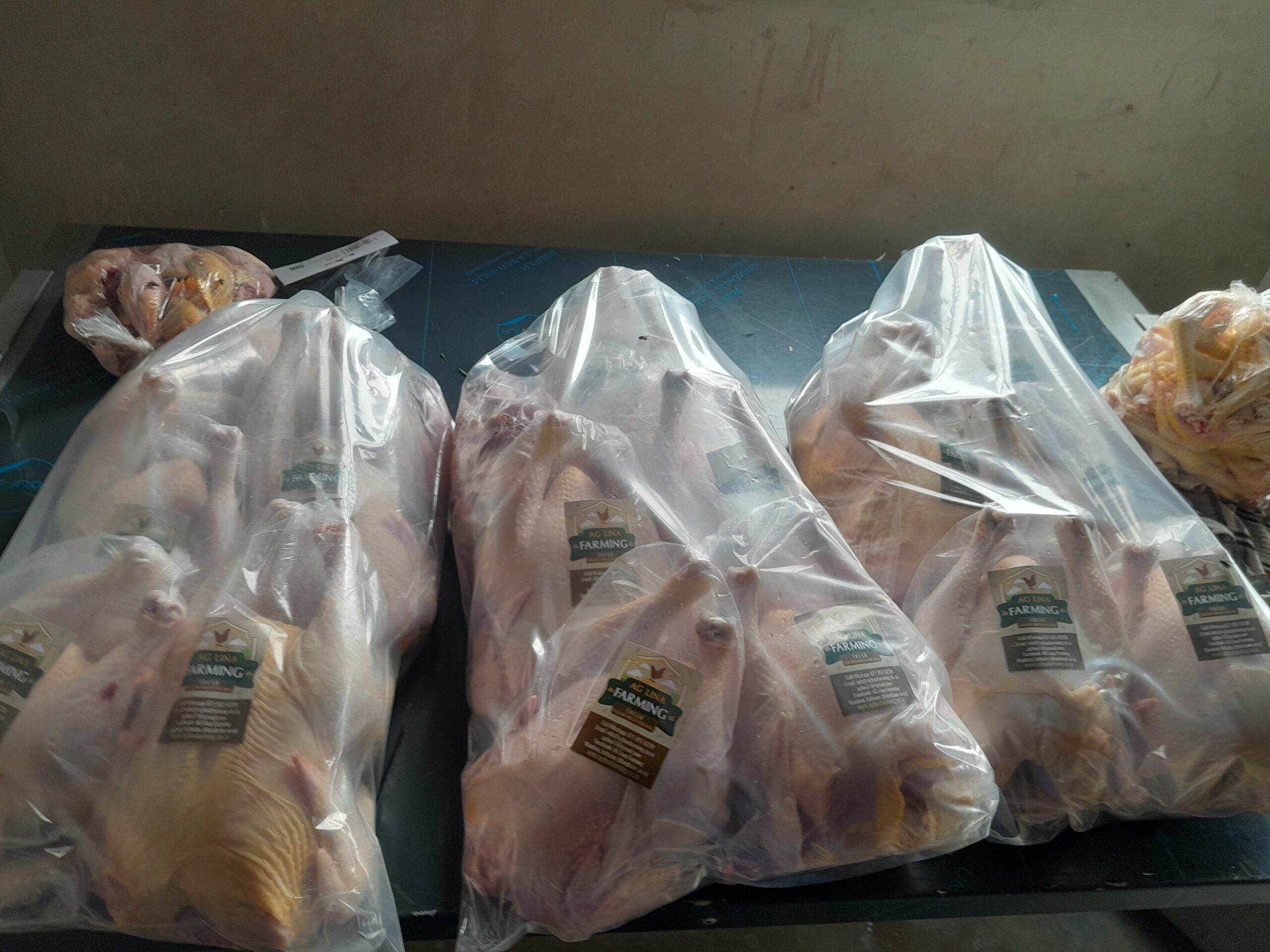 Bulk broiler chicken supply