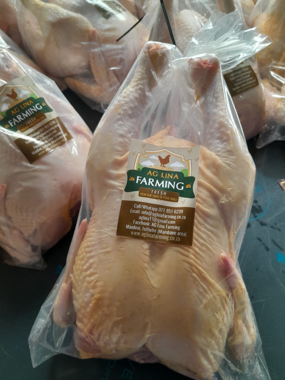 Freshly slaughtered broiler chickens